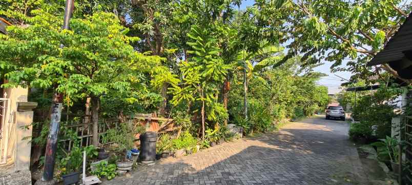 dijual tanah semolowaru tengah kec