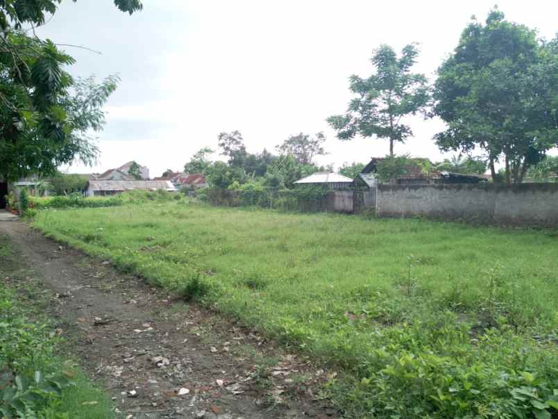 dijual tanah sendangtirto berbah sleman