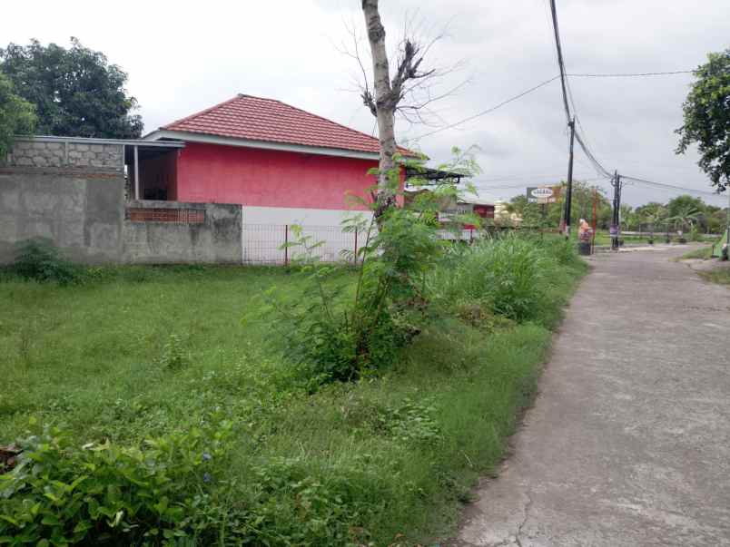dijual tanah sendangtirto berbah sleman