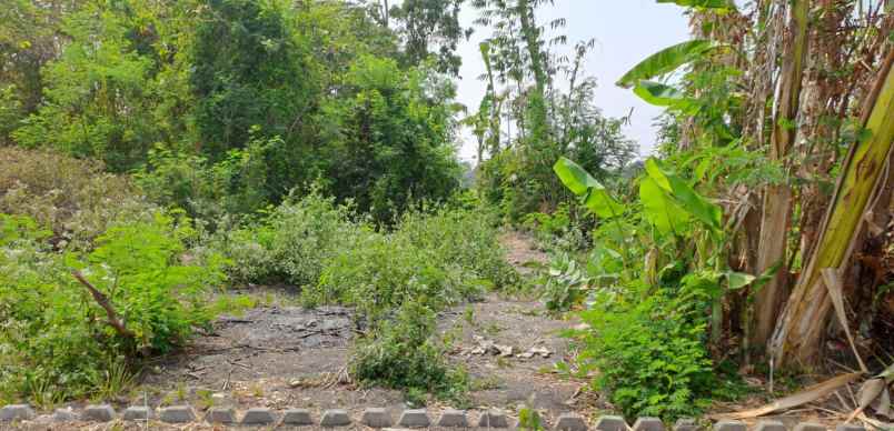 dijual tanah sewon