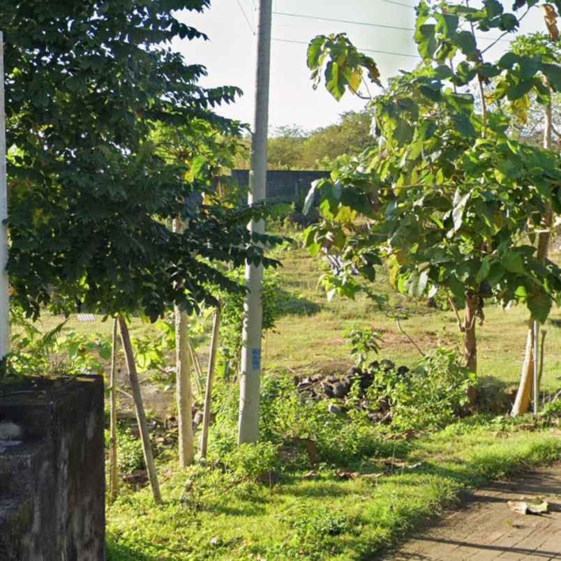 dijual tanah stp poltek kampial benoa