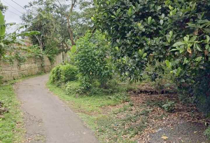 dijual tanah strategis pinggir jalan desa