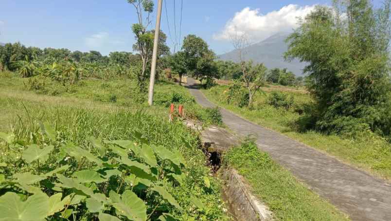 dijual tanah sumbersuko gempol pasuruan