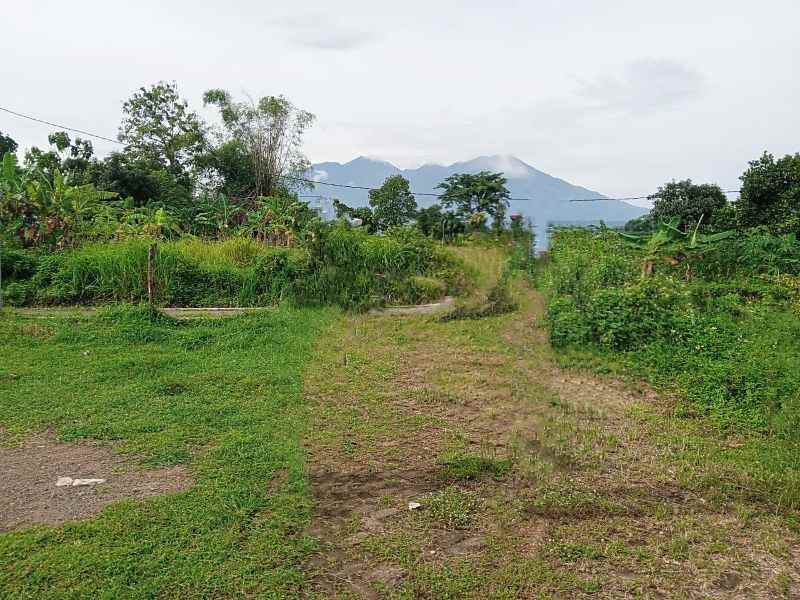 dijual tanah sumbersuko gempol pasuruan