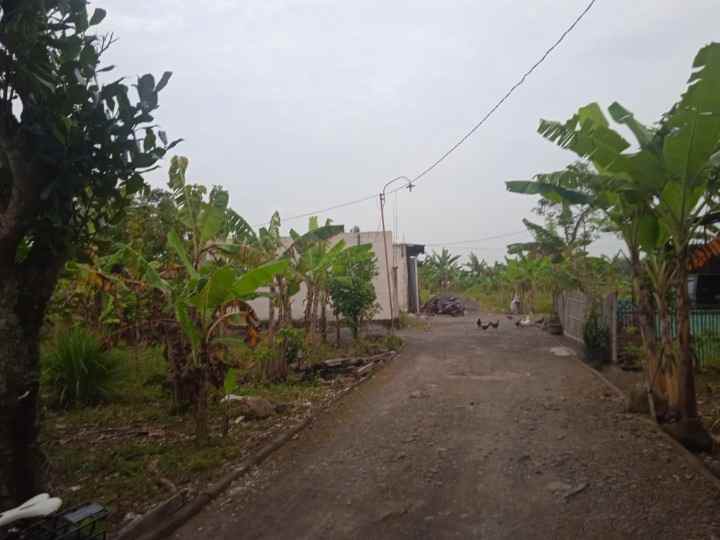 dijual tanah super strategis kab demak