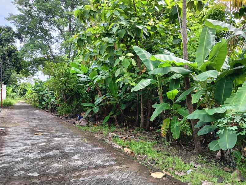 dijual tanah taman tlogomulyo