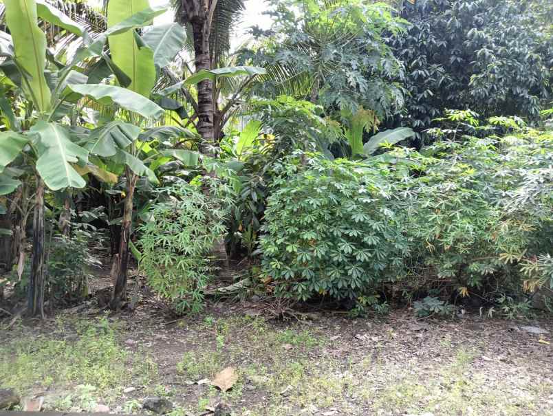 dijual tanah taman tlogomulyo