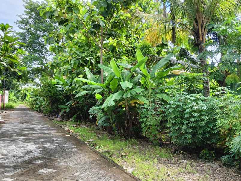 dijual tanah taman tlogomulyo