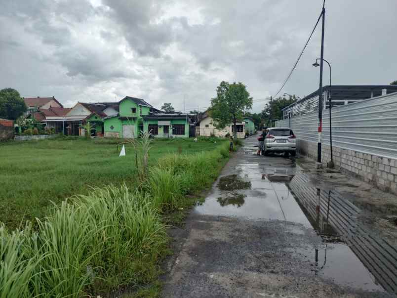 dijual tanah tanah murah jogja belakang