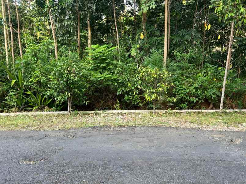 dijual tanah timur kantor kecamatan