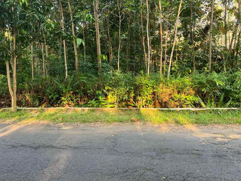 dijual tanah timur kantor kecamatan