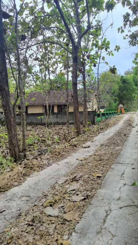 dijual tanah trutan ngampo pacarejo