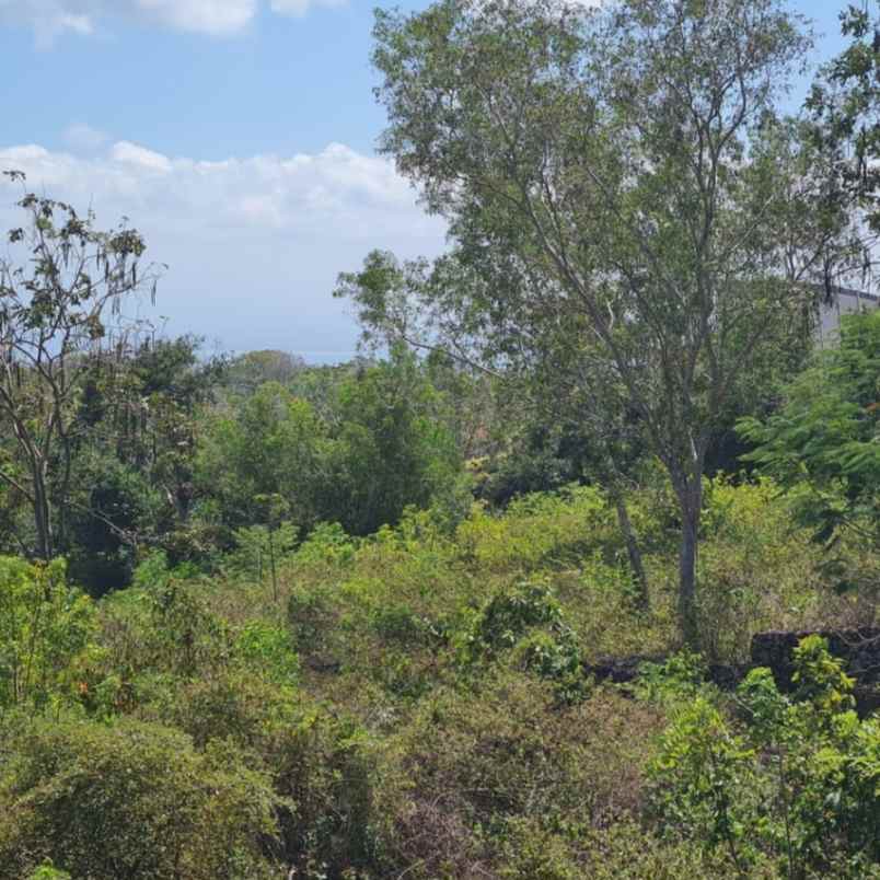 dijual tanah uluwatu ungasan