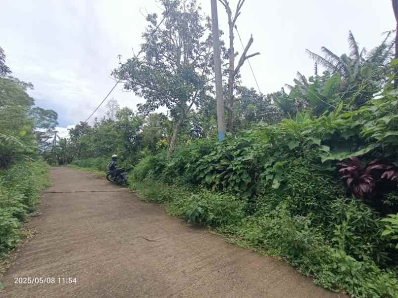 dijual tanah wanagiri buleleng bali