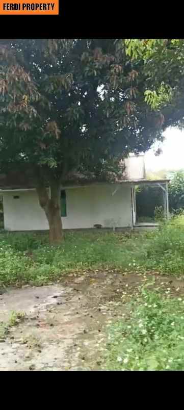 disewakan ruko gudang kantor jl alternatif cibubur