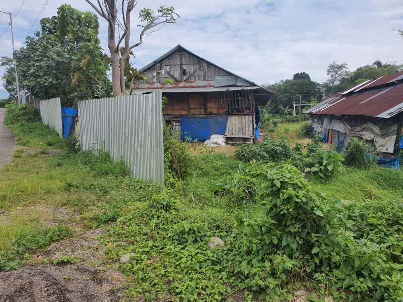 jual tahan di bendunganjati pacet mojokerto