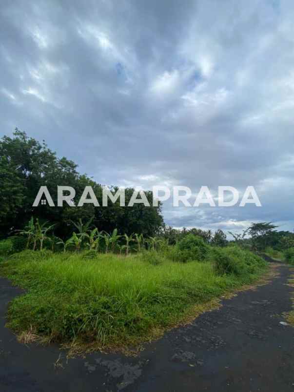 jual tanah 3750m2 panglan kapal mengwi badung