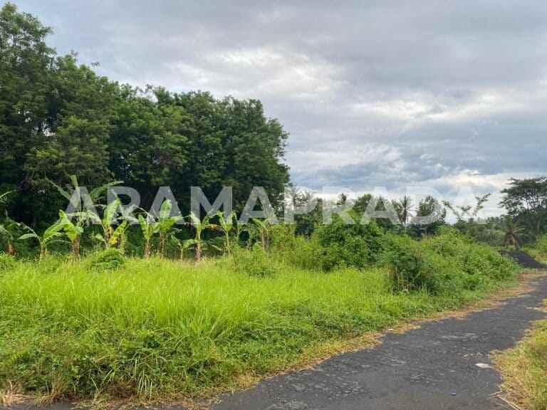 jual tanah 3750m2 panglan kapal mengwi badung