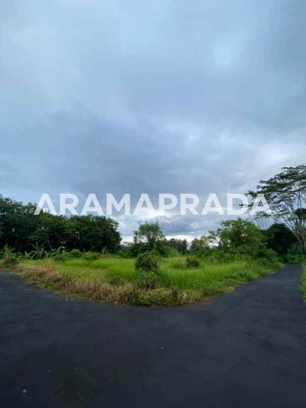 jual tanah 3750m2 panglan kapal mengwi badung