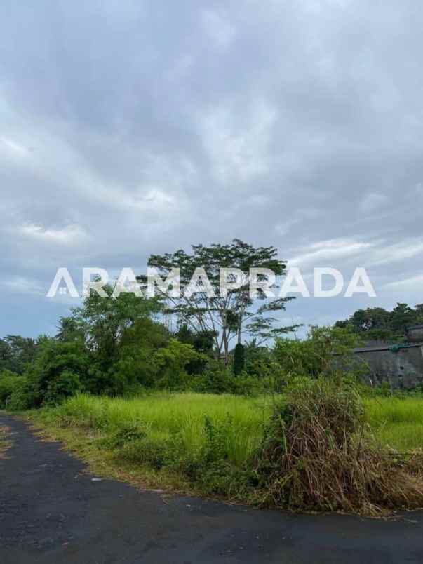 jual tanah 3750m2 panglan kapal mengwi badung