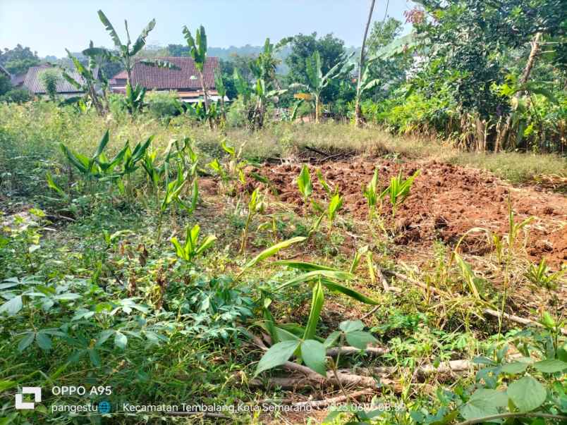 jual tanah banyumanik dekat undip