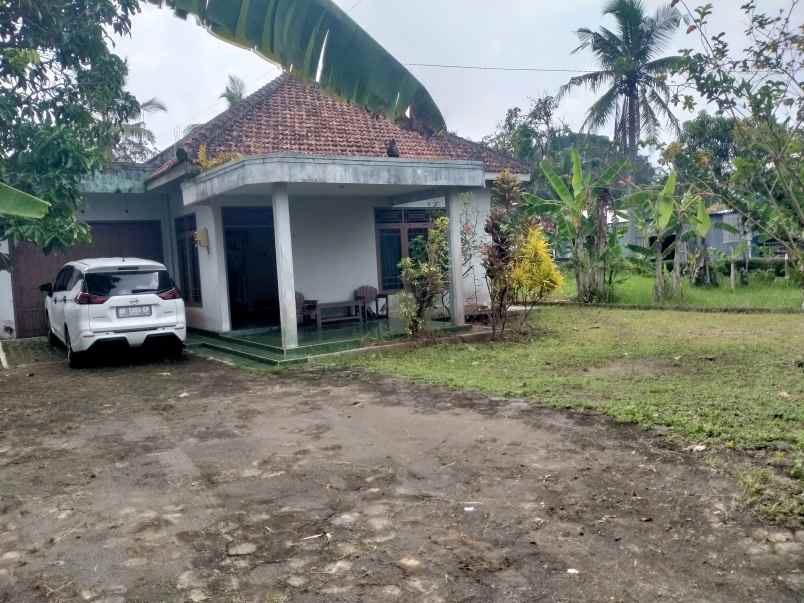 jual tanah pekarangan bonus rumah