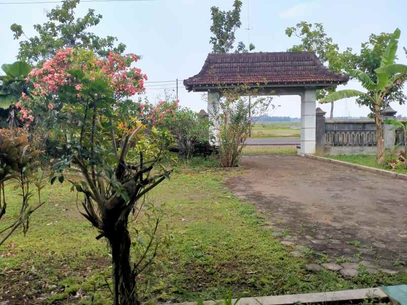 jual tanah pekarangan bonus rumah