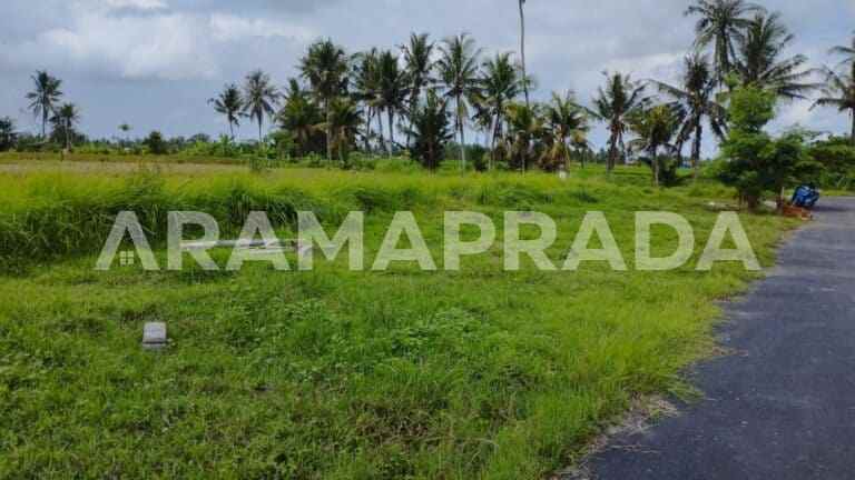 jual tanah sawah 19 are angantaka abiansemal badung