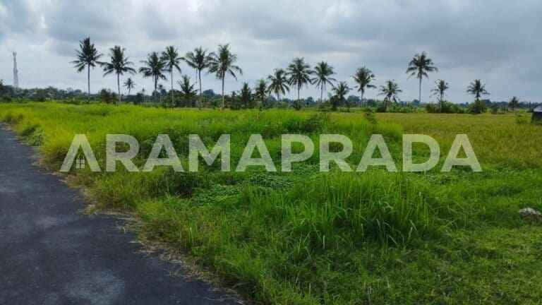 jual tanah sawah 19 are angantaka abiansemal badung