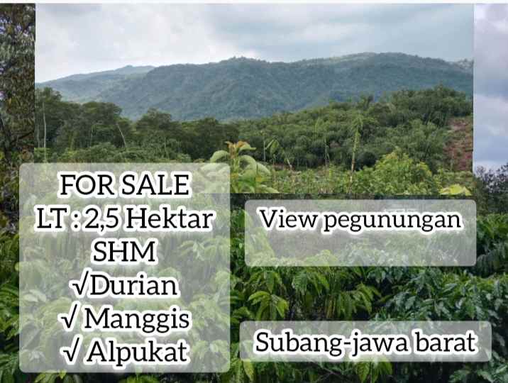 kebun produktif sagalaherang subang jawa barat