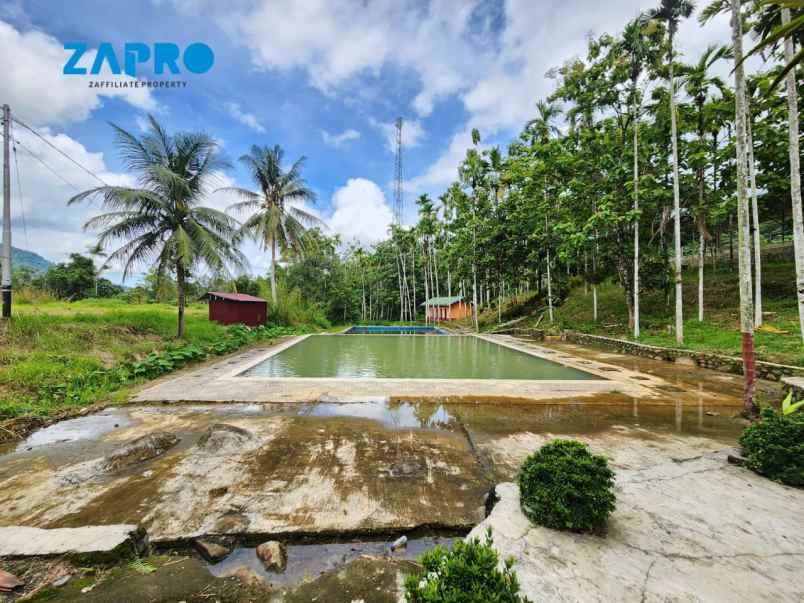 lahan cocok peruntukan bisnis pariwisata villa resort