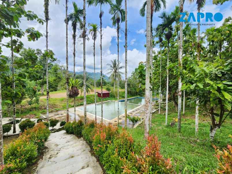 lahan cocok peruntukan bisnis pariwisata villa resort