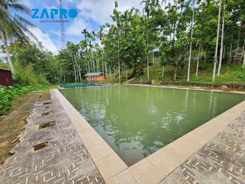 lahan cocok peruntukan bisnis pariwisata villa resort