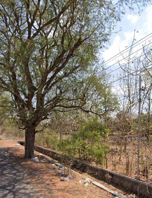 lahan industri rembang jawa tengah murah