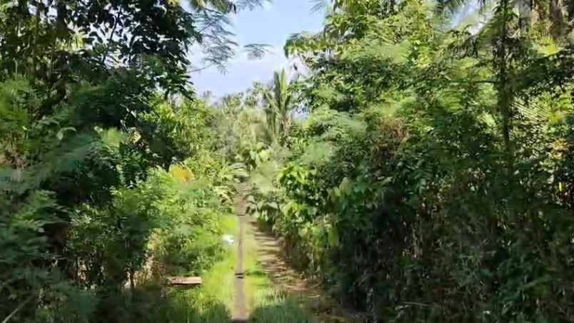 lahan kebun shm 80 are dekat pantai di tabanan bali
