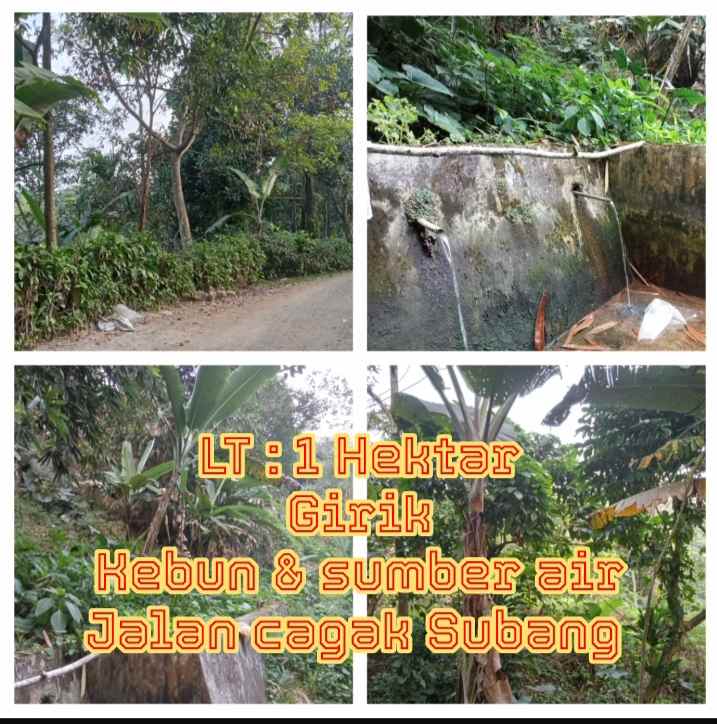 lahan kebun sumber air jalan cagak subang