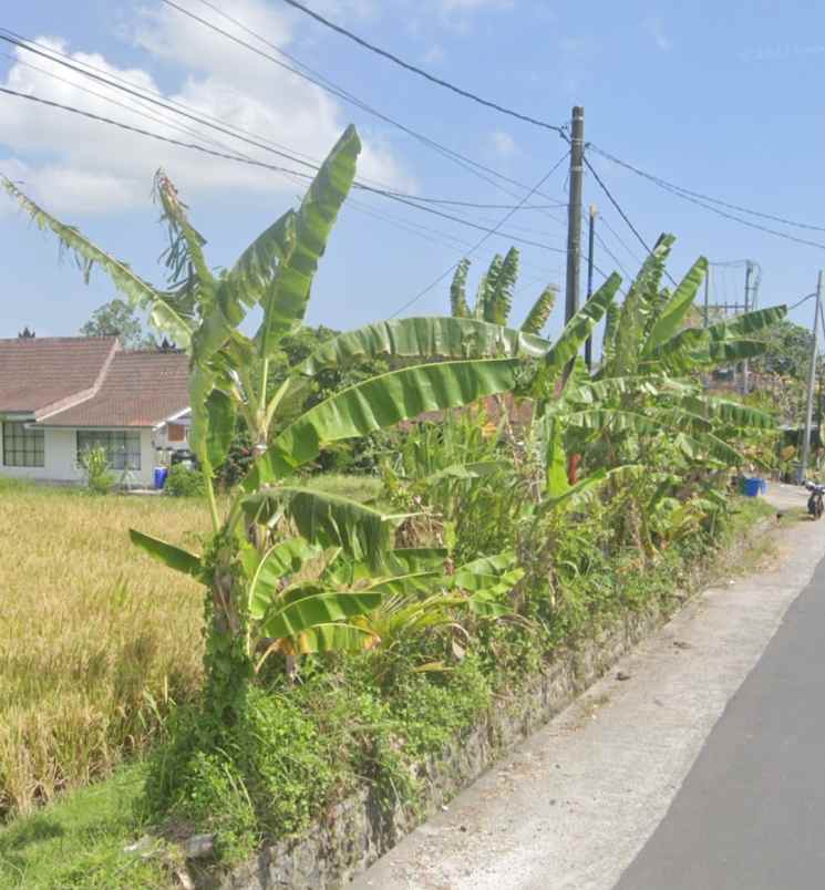 land for leasehold in kedungu bali close canggu