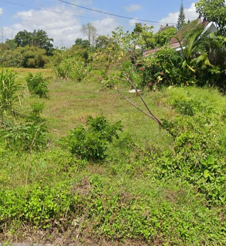 land for leasehold in kedungu bali close canggu