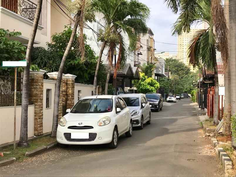 rumah kelapa nias kelapa gading