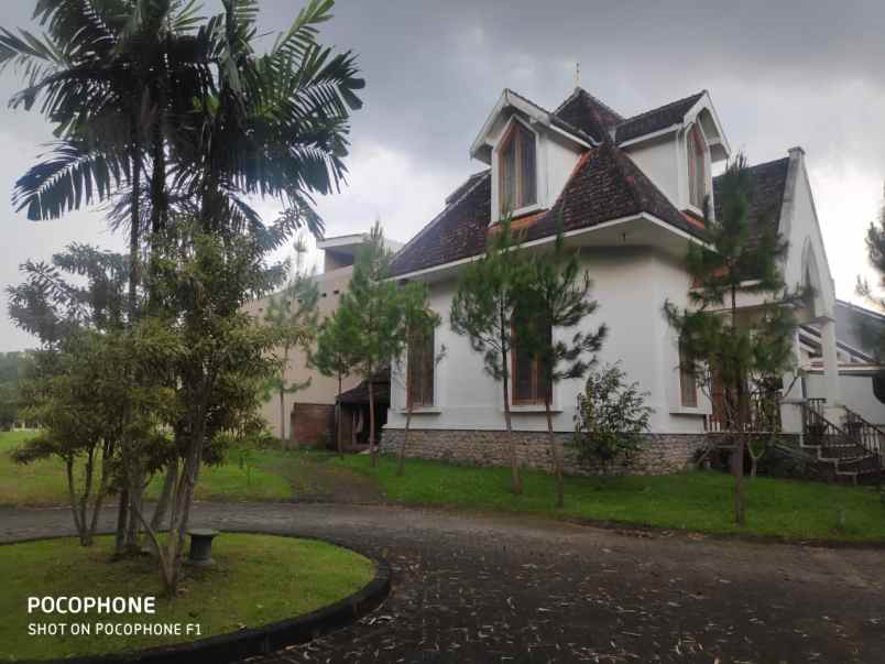 rumah mewah modern lokasi araya