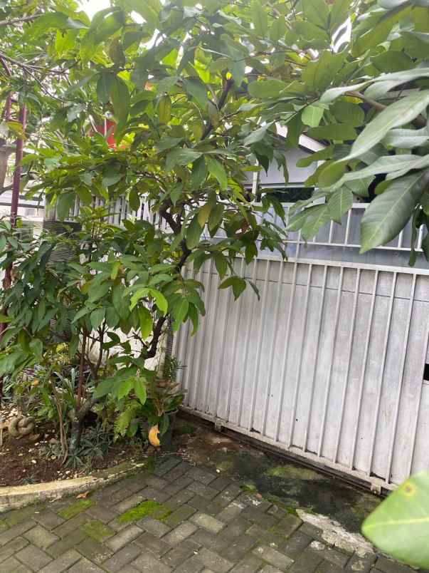 rumah mewah satu lantai di cluster tembalang semarang