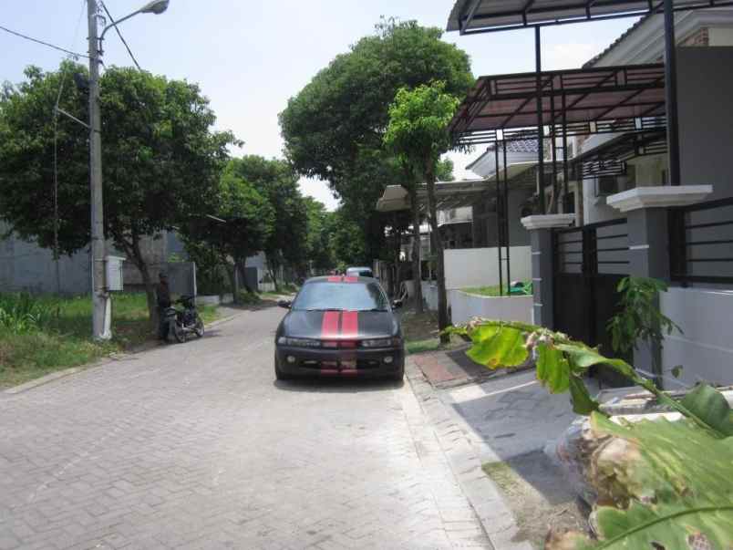 rumah murah new di citraland bukit palma surabaya