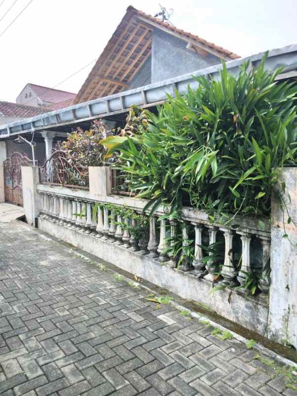 rumah patiunus gayamsari semarang