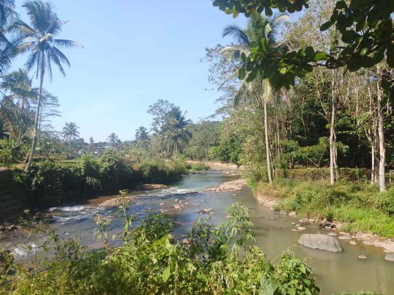 sawah dekat mata air sungai subang jawa barat