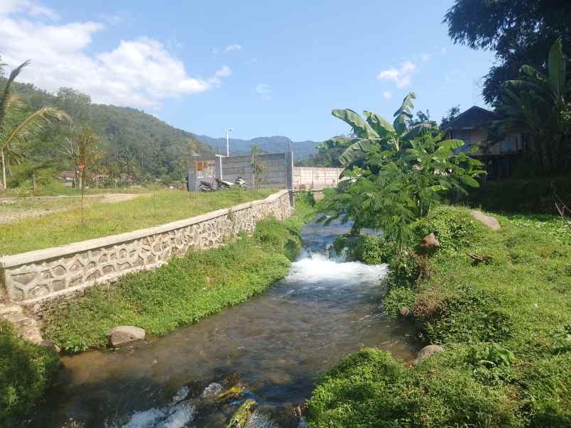sawah dekat mata air sungai subang jawa barat