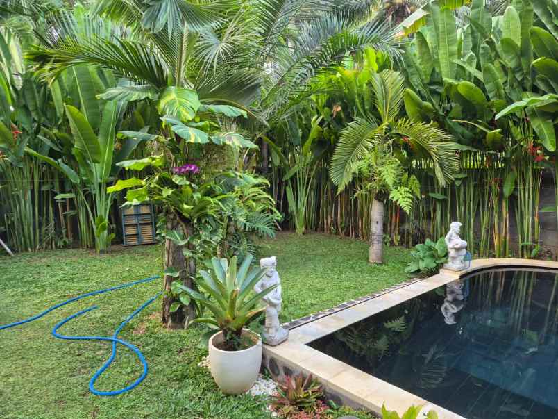selling design villa lovina