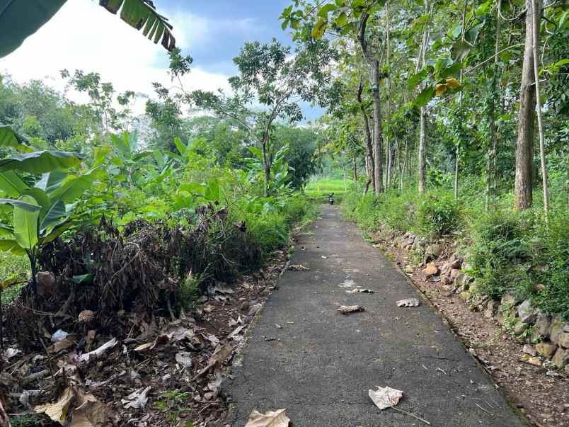 tanah 1545m dekat terminal batujamus karanganyar