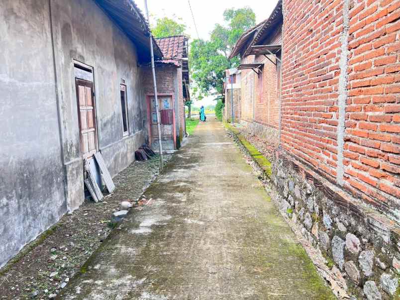 tanah 55 juta dekat pasar jambangan kedawung sragen