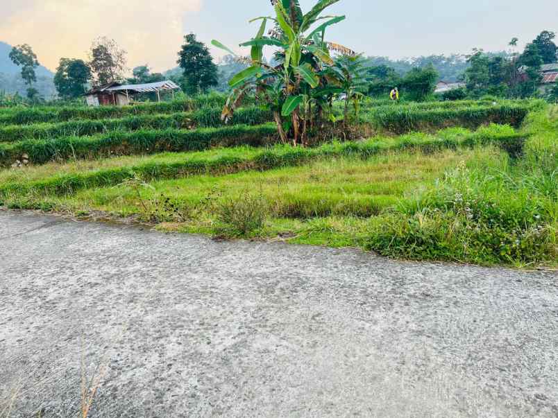 tanah 600m kawasan wisata karangpandan