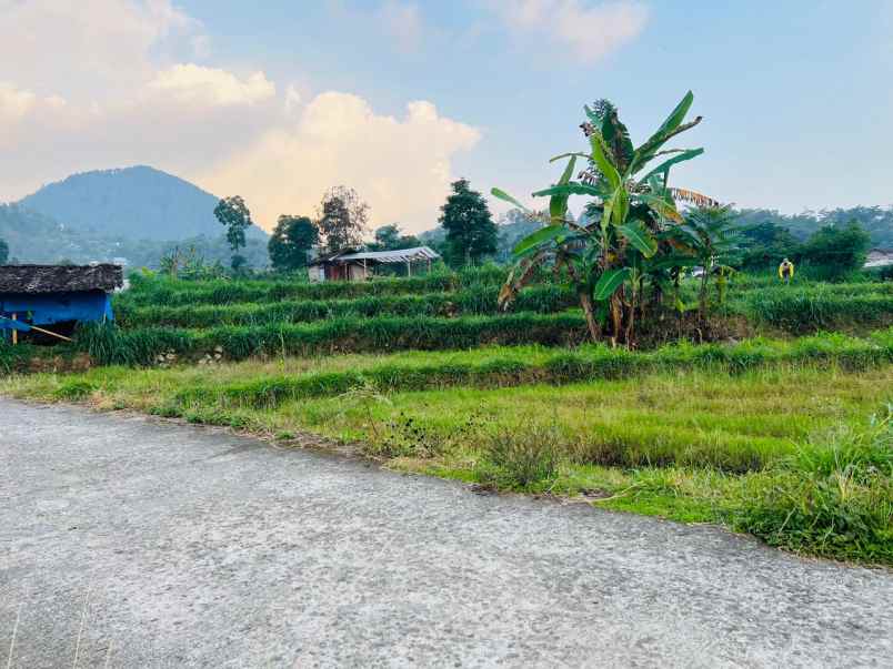 tanah 600m kawasan wisata karangpandan